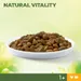 Perfect Fit Natural Vitality Adult 1+ piletina i puretina