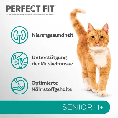 Perfect Fit Senior 11+. Supporta la salute renale, la massa muscolare e livelli ottimali di nutrienti. Raffigurato un gatto arancione e bianco.