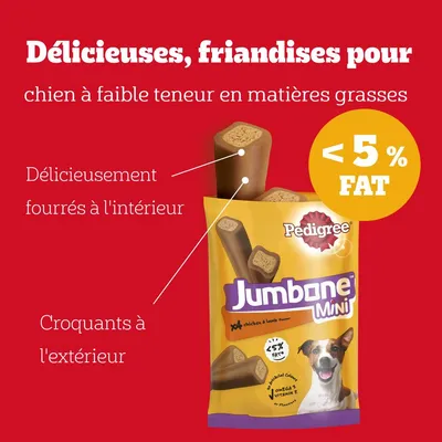 Texte : Délicieuses, friandises pour chien à faible teneur en matières grasses, délicieusement fourrées à l'intérieur, croquants à l'extérieur, <5 % FAT. Pedigree Jumbone Mini.