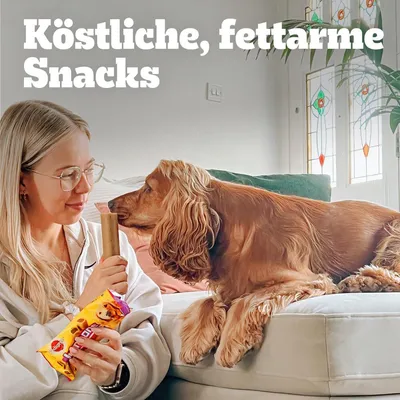 Ízletes, zsírszegény snackek. Kutya egy sárga dizájnú, piros logós csomagot néz.