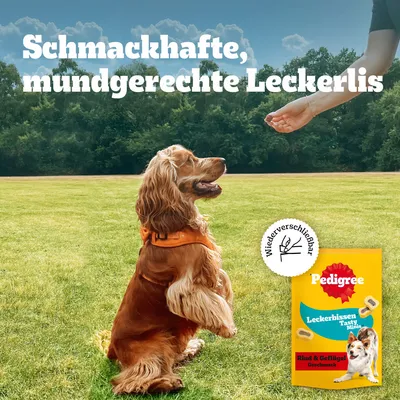 Pedigree Leckerbissen Pedigree Leckerbissen