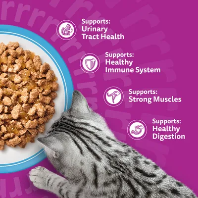 Whiskas 11+ Senior Pouches in Jelly