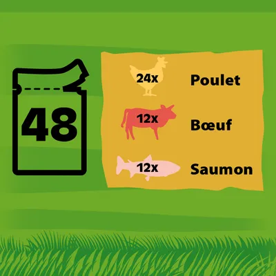 Illustration d’un pack de 48 avec répartition : 24x Poulet, 12x Bœuf, 12x Saumon. Animaux stylisés à côté des quantités et saveurs.