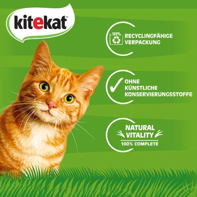 Kitekat. 100% recyclingfähige Verpackung, ohne künstliche Konservierungsstoffe, Natural Vitality 100% Complete.