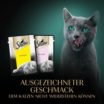 Sheba Katzenfutter mit Huhn und Lachs. Ausgezeichneter Geschmack, dem Katzen nicht widerstehen können.