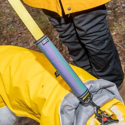 Trela amarela com pega almofadada presa a arnês cinzento e amarelo, visível etiqueta Hurtta. Cão com casaco amarelo e pessoa de casaco amarelo e calças pretas ao fundo.
