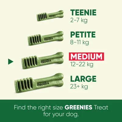 Greenies treat size guide: Teenie for 2–7 kg, Petite for 8–11 kg, Medium for 12–22 kg, Large for 23+ kg. Find the right size Greenies treat for your dog.
