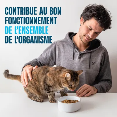 Texte dans l'image : Contribue au bon fonctionnement de l'ensemble de l'organisme. Un homme caresse un chat qui mange des croquettes dans une gamelle. Texte dans l'image : Contribue au bon fonctionnement de l'ensemble de l'organisme. Un homme caresse un chat qui mange des croquettes dans une gamelle.