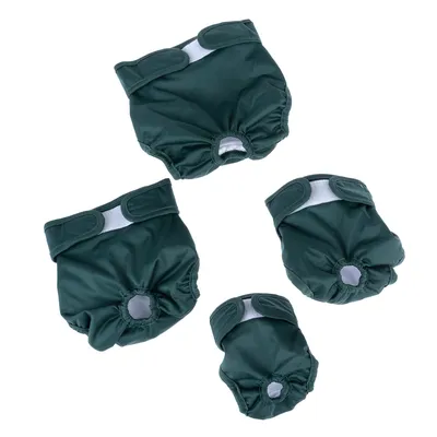 Quattro pannolini verdi per cani in diverse taglie con bordi elastici e chiusure in velcro.