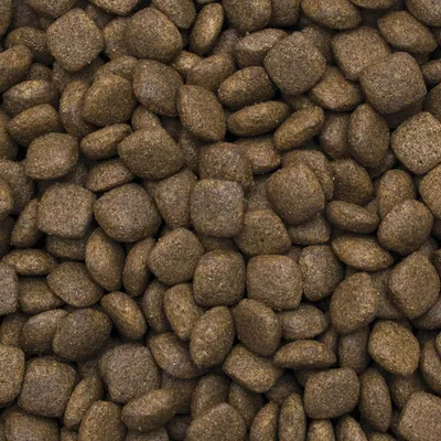 Primer plano de croquetas de pienso marrones y cuadradas. No se observa información adicional.