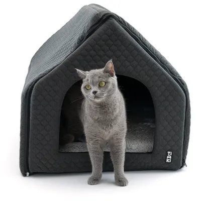 Casetta per gatti grigia con logo Tiaki, tessuto imbottito e un gatto grigio che guarda dall’ingresso.
