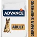 Advance German Shepherd