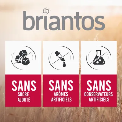 briantos. Sans sucre ajouté, sans arômes artificiels, sans conservateurs artificiels.