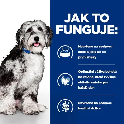 Text v češtine: Jak to funguje. Navrženo na podporu chuti k jídlu už od první misky. Optimální výživa bohatá na kalorie, která zvyšuje aktivitu vašeho psa každý den. Navrženo na podporu kvalitní stolice.