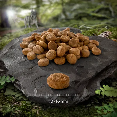 Brown kibble pieces displayed on a stone surface with a size guide showing each piece measures 13 to 16 millimetres in diameter.