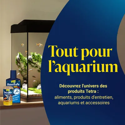 Tout pour l’aquarium. Découvrez l'univers des produits Tetra : aliments, produits d'entretien, aquariums et accessoires. Tout pour l’aquarium. Découvrez l'univers des produits Tetra : aliments, produits d'entretien, aquariums et accessoires.