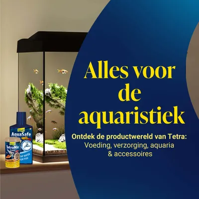 Alles voor de aquaristiek. Ontdek de productwereld van Tetra: Voeding, verzorging, aquaria & accessoires. Tetra AquaSafe en TetraMin Flakes zichtbaar. Alles voor de aquaristiek. Ontdek de productwereld van Tetra: Voeding, verzorging, aquaria & accessoires. Tetra AquaSafe en TetraMin Flakes zichtbaar.