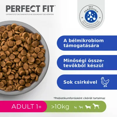 PERFECT FIT kutyatáp, bélmikrobiom támogatására, minőségi összetevőkből, sok csirkével, ADULT 1+, >10 kg, prebiotikumforrásként cikóriát tartalmaz