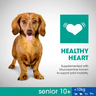Testo visibile: HEALTHY HEART. Supplemented with Glucosamine known to support joint mobility. senior 10+ <10kg. Immagine di un cane marrone a pelo lungo.