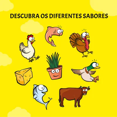 Texto: Descubra os diferentes sabores. Ilustrações de frango, salmão, peru, pato, queijo, ervas, peixe e vaca a representar variedades de ingredientes.