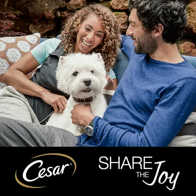 Cesar. SHARE THE Joy. Valkoinen koira istuu kahden aikuisen sylissä sohvalla, alareunassa Cesar-brändin ja Share the Joy -tekstin mainos.