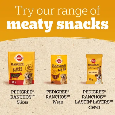 Tre påsar Pedigree Ranchos hundsnacks: Slices 60 g, Wrap 40 g och Lastin' Layers chews med kyckling 40 g. Text: Try our range of meaty snacks. All text på engelska.
