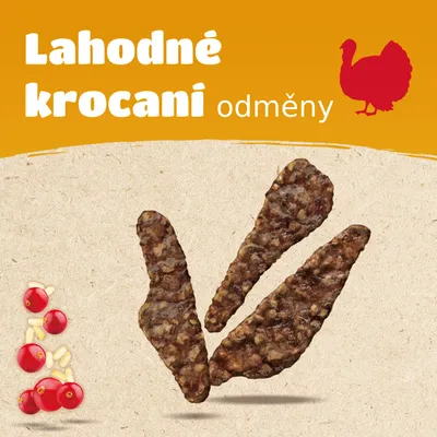 Lahodné krocani odměny, tři plátky pamlsků z krůtího masa, obrázek brusinek a semínek vlevo nahoře.