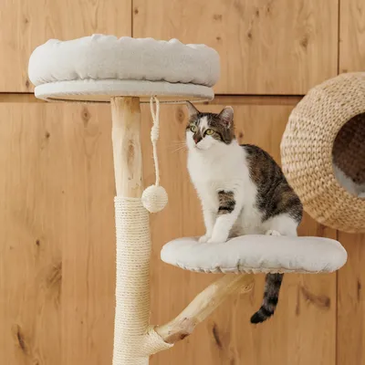 Árbol rascador de madera envuelto en sisal, dos superficies acolchadas para descansar y pelota de juego. Gato sentado en la plataforma inferior.