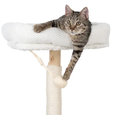 Kratzbaum mit weissem Liegeplatz, Sisalstamm und Spielseil. Katze liegt oben auf dem Kratzbaum und greift nach dem Seil.