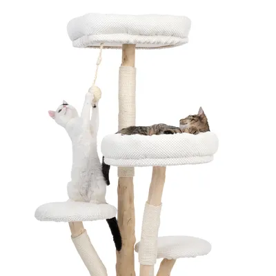 Kratzbaum aus Holz mit mehreren Ebenen, Sisal umwickelten Stämmen und gepolsterten Liegeflächen. Eine Katze spielt mit einem Seil, eine andere schläft auf einer oberen Plattform.