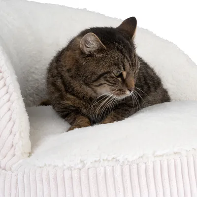 Chat tigré allongé sur un lit pour chat en tissu blanc à texture côtelée et surface intérieure aspect polaire. Aucun texte ou marque visible.