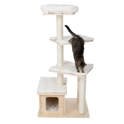 Cat tree with four levels, sisal posts and padded resting areas. Integrated wooden cave. Cat demonstrating use of the cat tree.