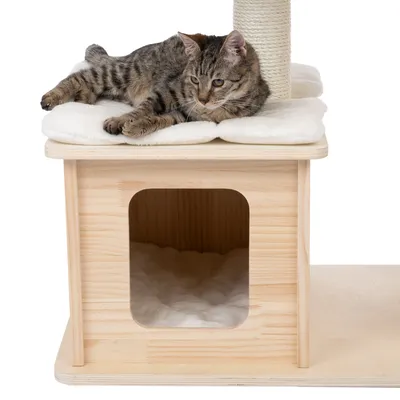 Wooden cat house with padded lying surface and scratching post. Cat lying on the top surface, lower area as a retreat with soft padding.