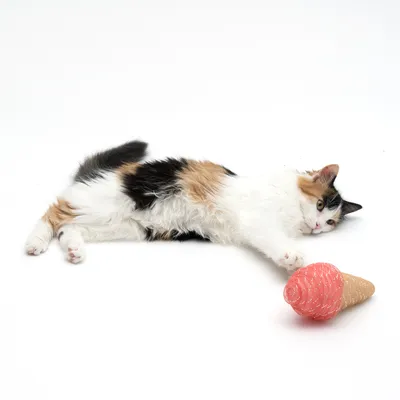 Chat tricolore allongé à côté d’un jouet en forme de cornet de glace rose, surface blanche. Jouet pour chat visible au premier plan.
