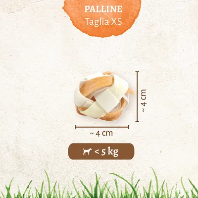 Palline taglia XS, diametro circa 4 cm, per cani di peso inferiore a 5 kg. Testo visibile: PALLINE Taglia XS, ~4 cm, <5 kg con icona cane.