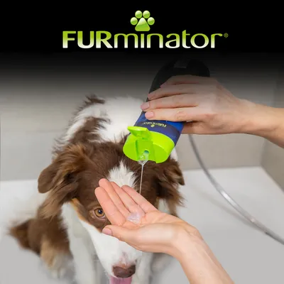 Shampoing FURminator versé dans la main devant un chien à poils longs, logo FURminator visible en haut de l’image.