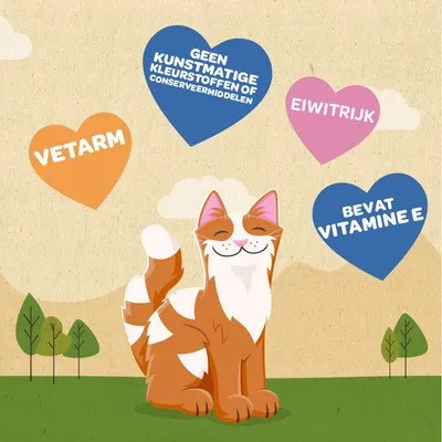 Meowee! Tonijnfiletreepjes