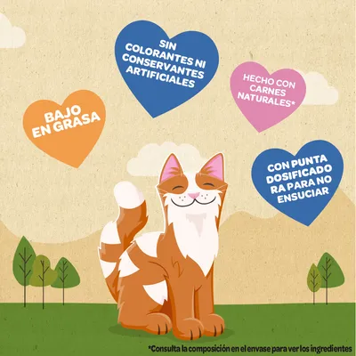 Sin colorantes ni conservantes artificiales, bajo en grasa, hecho con carnes naturales, con punta dosificadora para no ensuciar. Consulta la composición en el envase para ver los ingredientes.