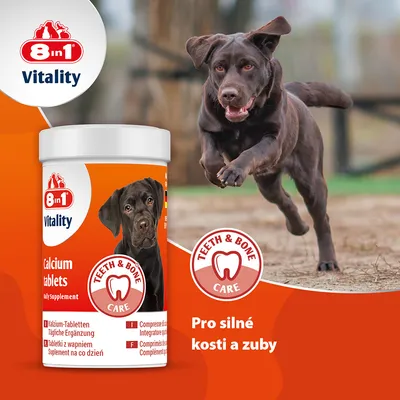 8 in 1 Vitality Calcium Tablets, denní doplněk pro zuby a kosti. Péče o zuby a kosti. Pro silné kosti a zuby.
