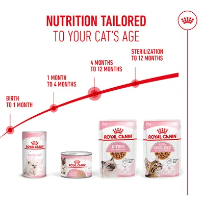 Royal Canin Feeding recommendation by cat age: Birth to 1 month, 1–4 months, 4–12 months, sterilisation up to 12 months. Various Royal Canin products shown.