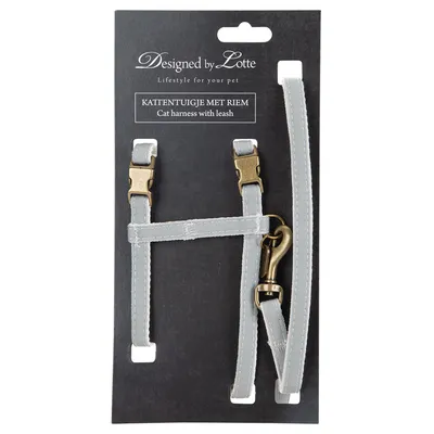 Harnais pour chat avec laisse Designed by Lotte, texte visible : 'KATTENTUIGJE MET RIEM Cat harness with leash', boucles métalliques dorées, présenté sur carton noir.