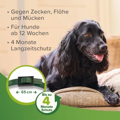 Halsband gegen Zecken, Flöhe und Mücken. Für Hunde ab 12 Wochen. Bis zu 4 Monate Langzeitschutz. Länge: 65 cm.