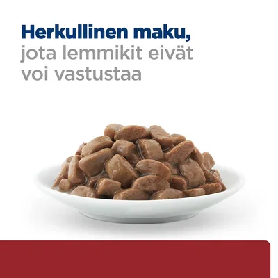 Lautasella märkäruokapaloja kastikkeessa. Teksti: Herkullinen maku, jota lemmikit eivät voi vastustaa.