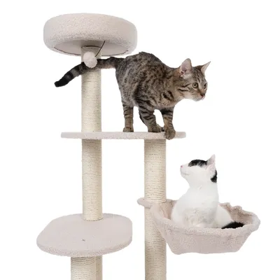 Kratzbaum mit drei Ebenen, Sisalstämmen und gepolsterten Liegeflächen. Zwei Katzen demonstrieren Nutzung: eine auf oberer Plattform, eine in Hängematte.