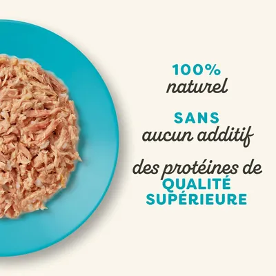Lot de boîtes Applaws 24 x 156 g