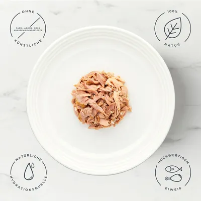 Encore Dose 16 x 70 g