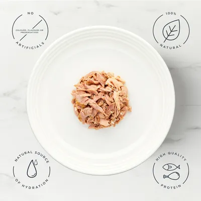 Encore Cat Tin 16 x 70g - Tuna Fillet with Salmon