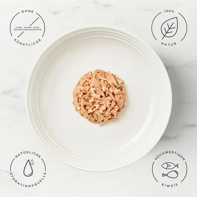 Encore Dose 16 x 70 g