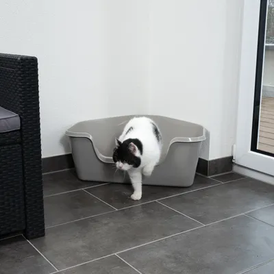 White cat with black spots leaving a grey litter box in a corner on tiled floor.