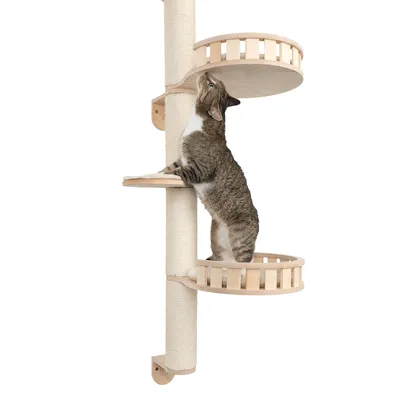 Wooden climbing tree with sisal post and three platforms. Cat exploring the top level.